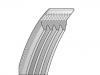 V-Ribbed Belt:95141-54PB0